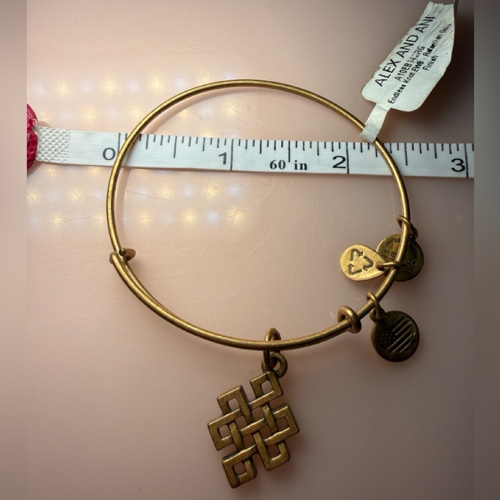 NWT Alex and Ani Endless Knot Charm Bangle Bracelet Rafaelian Gold Expandable - Picture 8 of 8